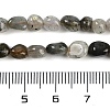 Natural Labradorite Beads Strands G-P497-01B-03-5