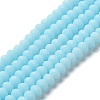 Glass Beads Strands EGLA-A034-P10mm-MD06-1
