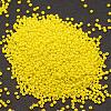 6/0 Glass Seed Beads X-SEED-J014-F6-42-2