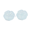 Frosted Transparent Acrylic Beads X1-OACR-P029-19B-06-3
