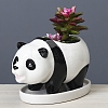Cute Panda Succulent Planter Pots PW22053089103-2