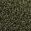 MIYUKI Delica Beads SEED-MY11-DB2404-2