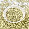 MIYUKI Round Rocailles Beads SEED-JP0009-RR0554-2