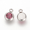 201 Stainless Steel Rhinestone Charms STAS-S068-10-2