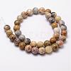 Natural Crazy Lace Agate Beads Strands G-D840-70-10mm-2
