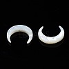 Natural White Shell Mother of Pearl Shell Beads SSHEL-T012-07-3