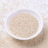 MIYUKI Delica Beads SEED-X0054-DB1874-2