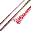 10 Skeins 6-Ply Polyester Embroidery Floss OCOR-K006-A17-3