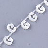 Natural Sea Shell Beads SHEL-T012-60G-2