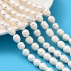 Natural Cultured Freshwater Pearl Beads Strands PEAR-I007-01E-01A-1
