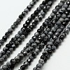 Natural Snowflake Obsidian Bead Strands G-A129-2mm-12-1