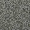 TOHO Round Seed Beads SEED-JPTR11-0029F-2