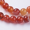 Natural Striped Agate/Banded Agate Beads Strands G-G591-8mm-03-3