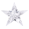Transparent Acrylic Pendants TACR-T028-09A-1