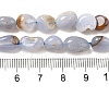 Natural Blue Lace Agate Beads Strands G-L608-A02-01B-5