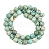 Natural Peruvian Turquoise(Jasper) Beads Strands G-F836-A02-8mm-3