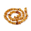 Natural Amber Chip Beads Strands G-E271-81-3
