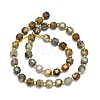 Natural Gobi Agate Beads Strand G-I376-D02-01-2