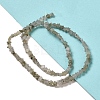 Natural Labradorite Beads Strands G-G085-B25-01-2