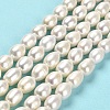 Natural Cultured Freshwater Pearl Beads Strands PEAR-E016-085-2