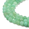 Natural Chrysoprase Beads Strands G-B088-C19-03-4