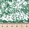 MIYUKI Round Rocailles Beads SEED-X0056-RR0156-4
