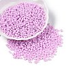 Baking Paint Glass Seed Beads SEED-T006-03L-3