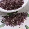 MIYUKI Delica Beads Small X-SEED-J020-DBS0108-1