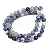 Natural Sodalite Beads Strands G-S279-10-8mm-5