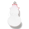 Opaque Resin Pendants RESI-D055-003P-3