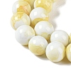 Baking Paint Glass Bead Strands GLAA-H031-01C-03-4