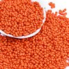 Baking Paint Glass Seed Beads X1-SEED-K010-A10-1