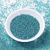 MIYUKI Delica Beads SEED-X0054-DB1248-2