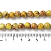Natural Imperial Jasper Beads Strands G-I122-8mm-25-5