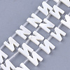 Natural Freshwater Shell Beads SHEL-T012-59N-1