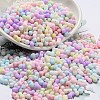 Macaron Color Opaque Frosted Glass Seed Beads X-SEED-K009-12B-01-1