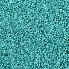 TOHO 11/0 Round Beads SEED-XTR11-0055-2