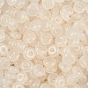 Transparent Colours Glass Seed Beads X1-SEED-P008-01B-06-2