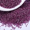 MIYUKI Delica Beads SEED-J020-DB2162-1