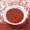 MIYUKI Delica Beads X-SEED-J020-DB2158-2