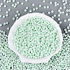 Opaque Glass Seed Beads SEED-N012-09A-05-2
