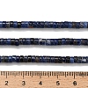 Natural Sodalite Beads Strands G-Z110-A03-2x4mm-5