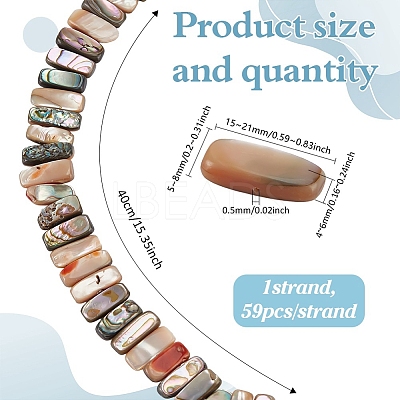 1 Strand Natural Paua Shell Beads Strands BSHE-ME0001-04-1