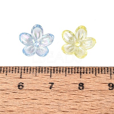 Transparent Plastic Bead Caps KY-N025-37-1