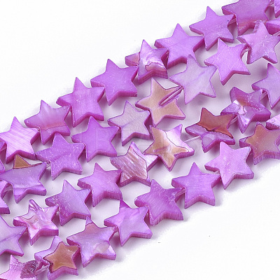 Freshwater Shell Beads Strands SHEL-T014-009E-1