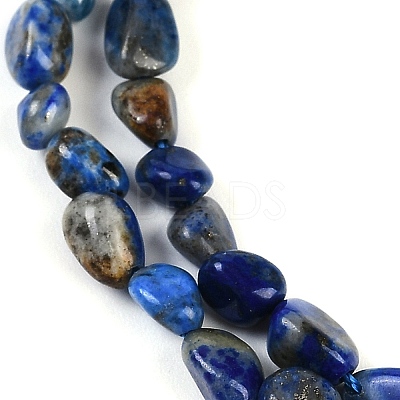 Natural Lapis Lazuli Beads Strands G-P497-01B-14-1