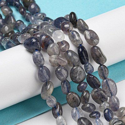 Natural Iolite Beads Strands G-P497-01A-13-1