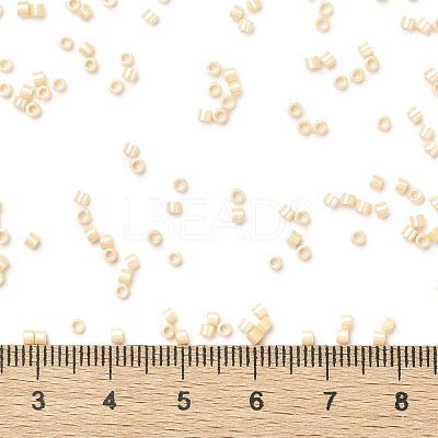 Cylinder Seed Beads SEED-H001-H11-1