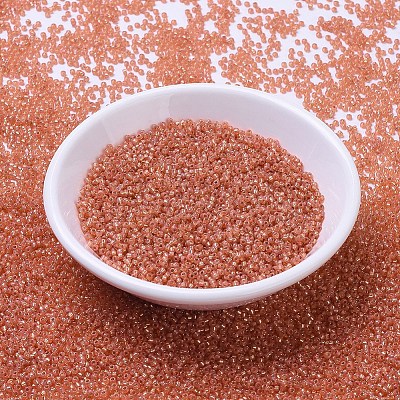 MIYUKI Round Rocailles Beads X-SEED-G007-RR0553-1