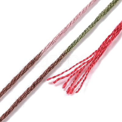 10 Skeins 6-Ply Polyester Embroidery Floss OCOR-K006-A17-1